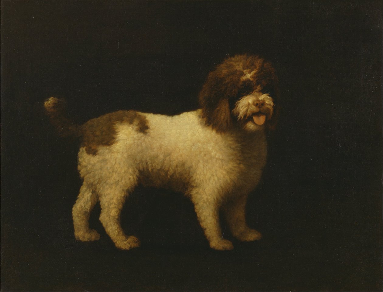 Vízi spániel alkotó: George Stubbs