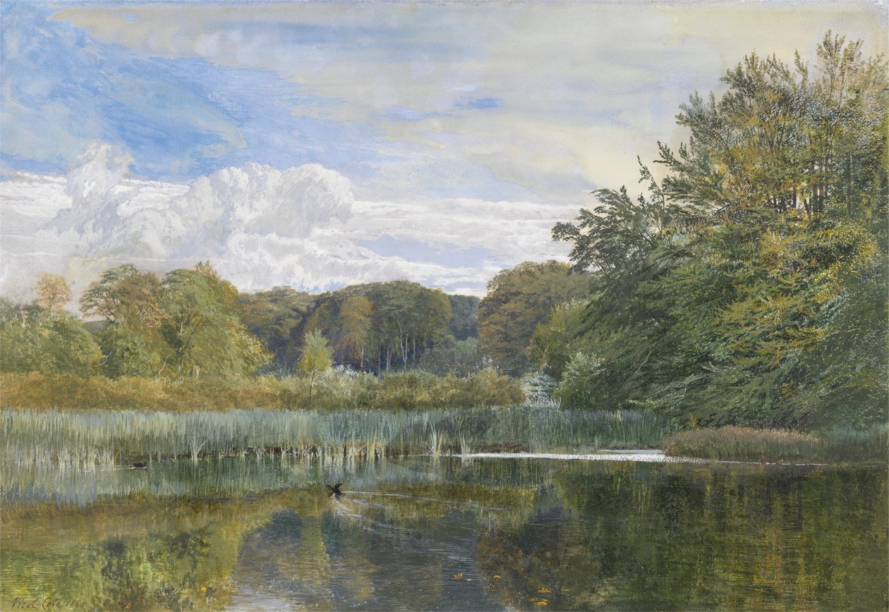 A malomtó, Evelyn Woods, 1860 alkotó: George Vicat Cole
