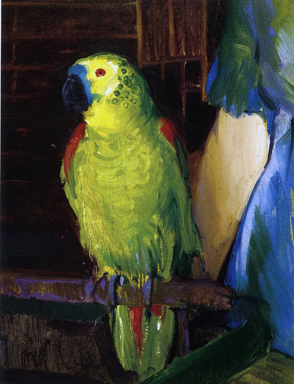 Papagáj, 1915 alkotó: George Wesley Bellows