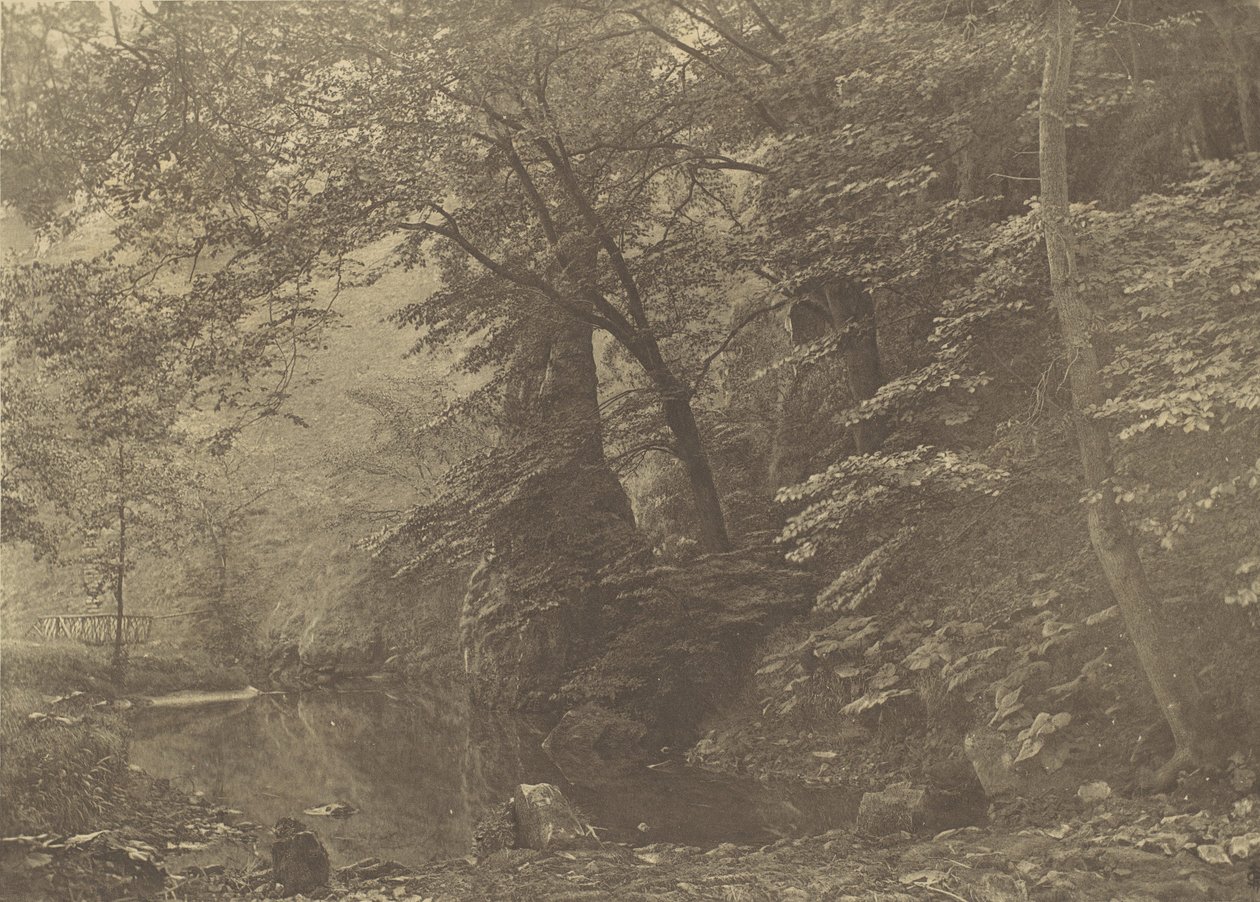 Pike Pool, 1880-as évek, nyomtatva 1888. alkotó: George Bankart