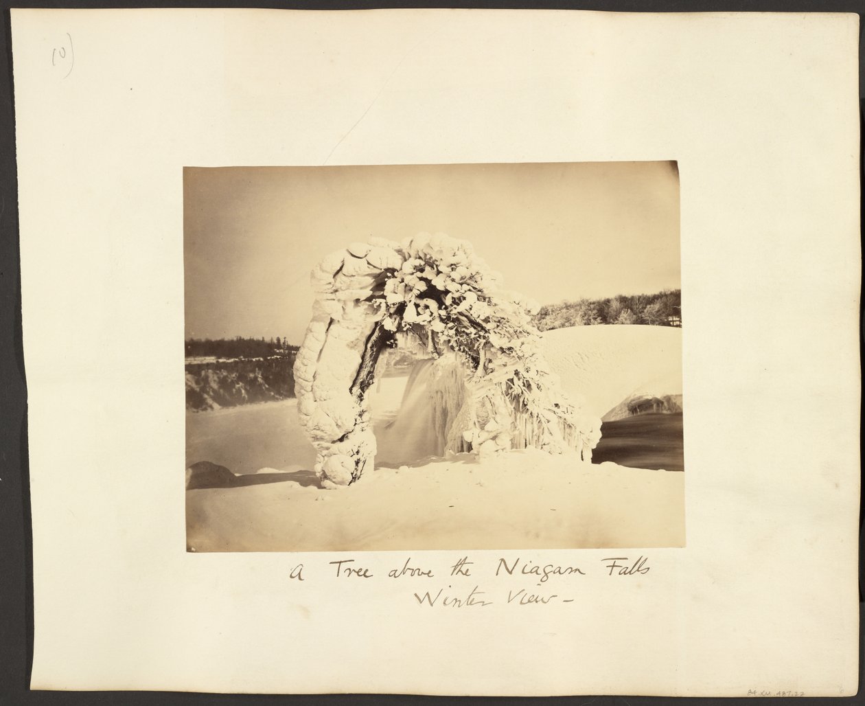 Egy fa a Niagara-vízesés felett alkotó: George Barker
