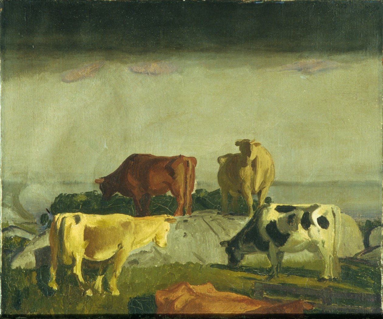 The Red Vine, Matinicus Island, Maine alkotó: George Bellows