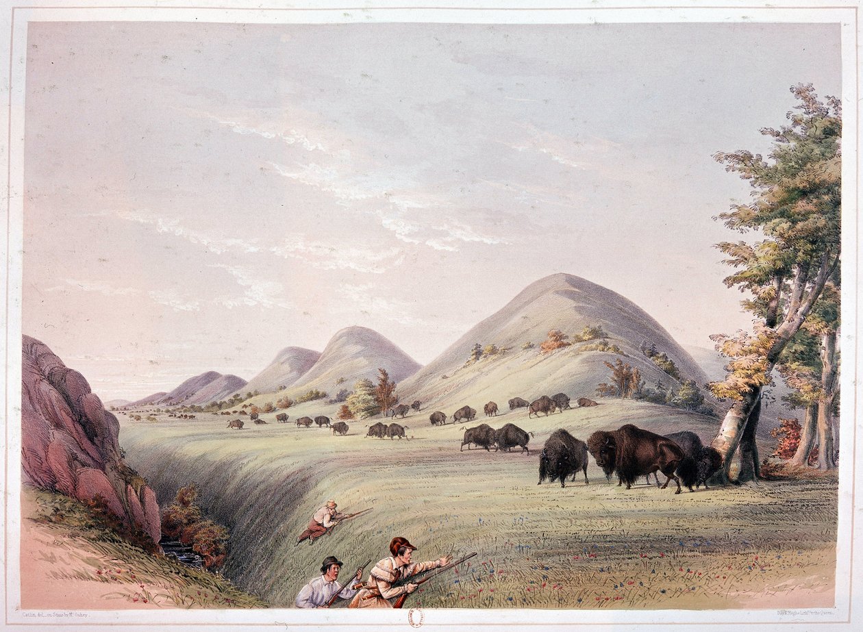 Bölényvadászat alkotó: George Catlin