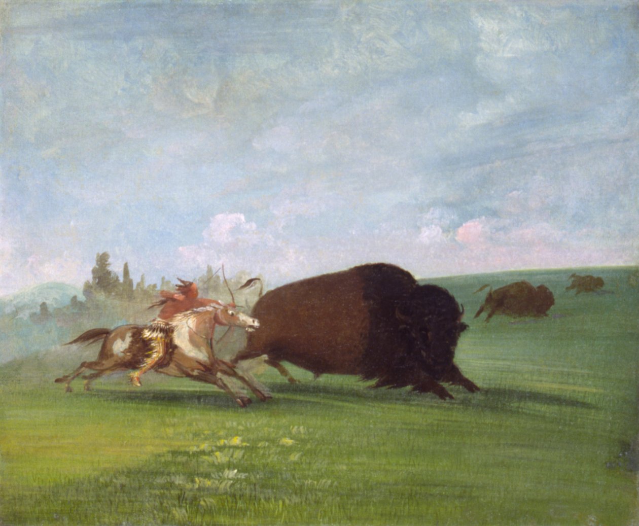 Buffalo Chase, egyetlen haláleset, 1832-1833. alkotó: George Catlin