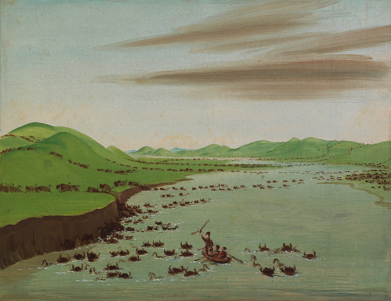 A Missouri felső folyásán átkelő bölénycsordák alkotó: George Catlin