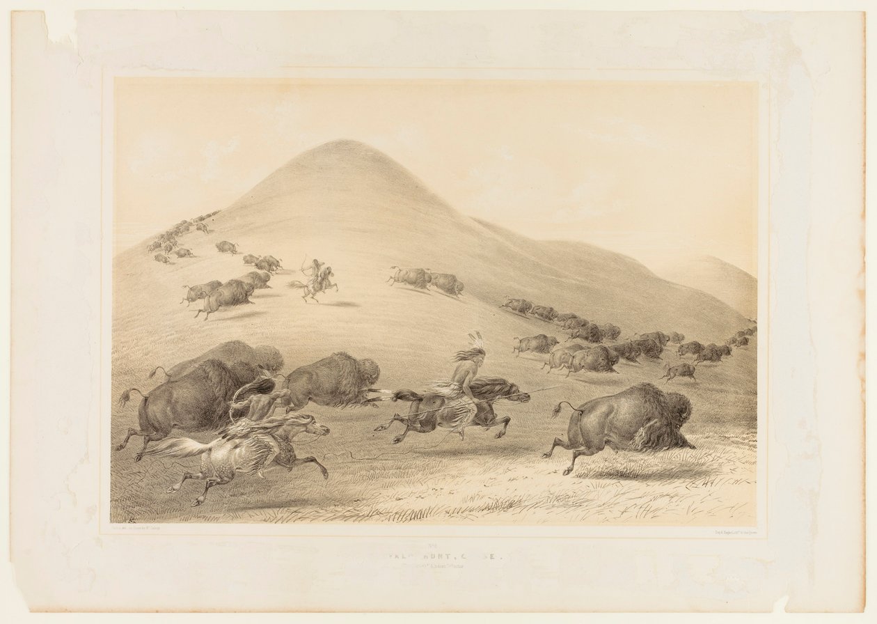 Bölényvadászat, üldözés - 6. sz. alkotó: George Catlin