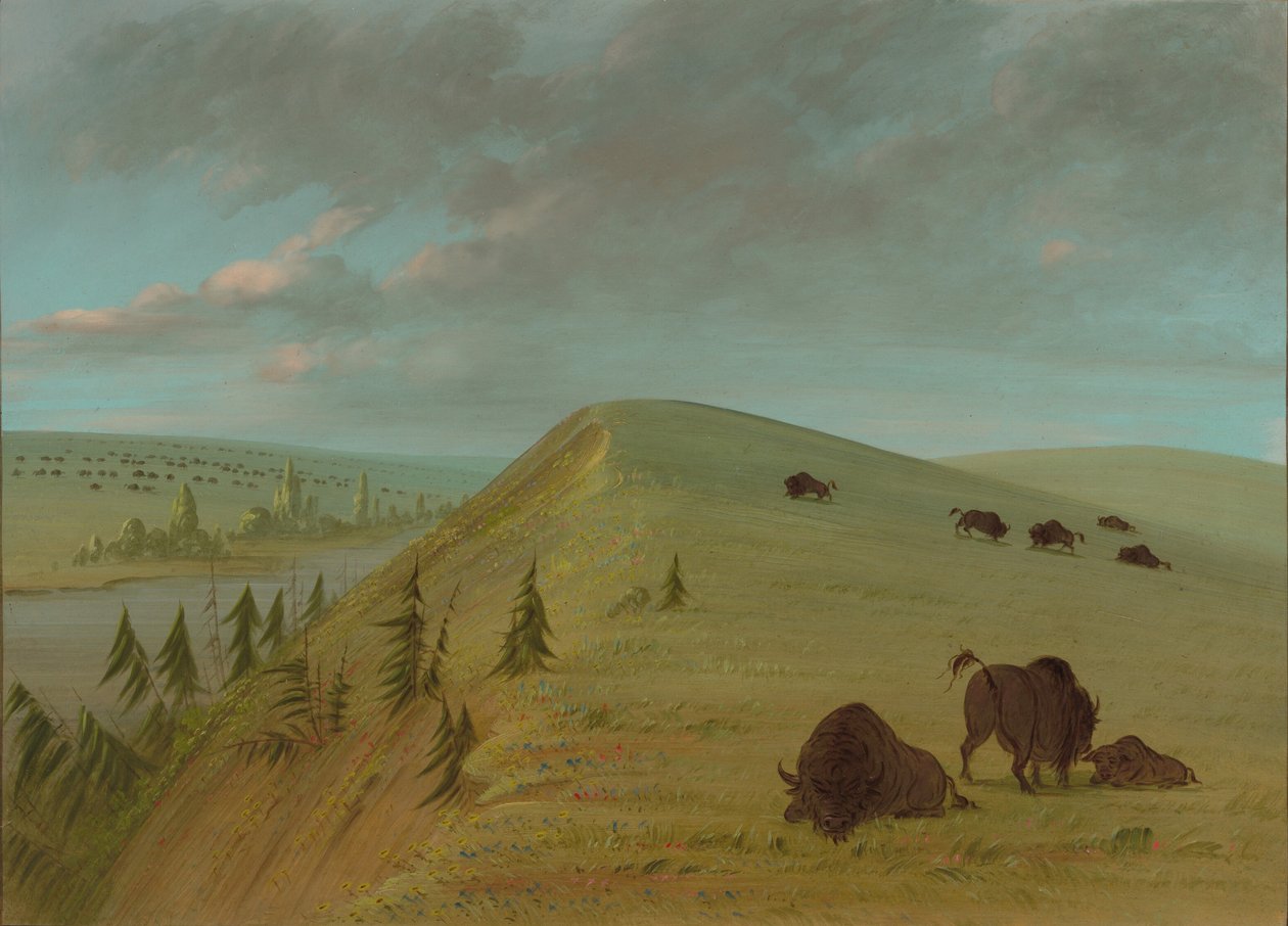 Cedar Bluffs, 18611869. alkotó: George Catlin