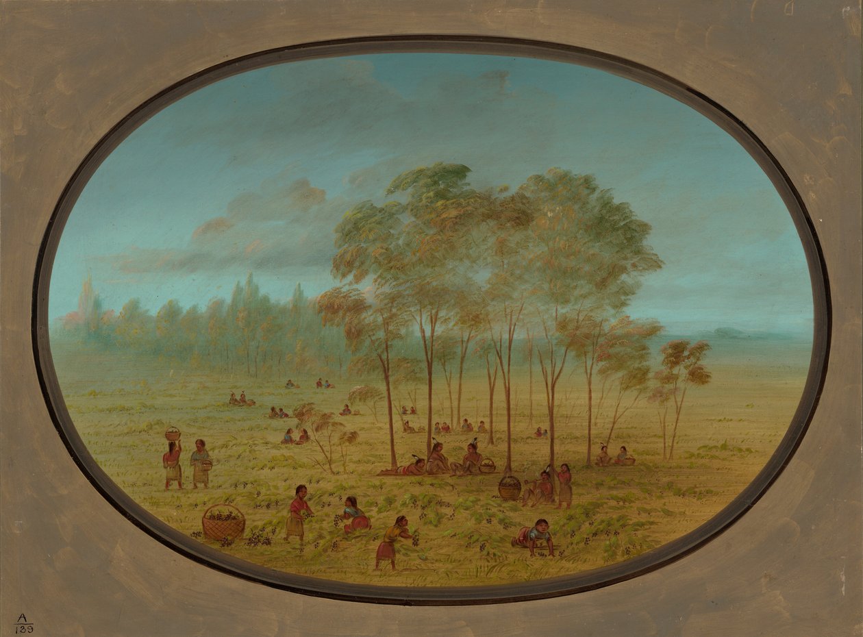 Kiowa indiánok vadszőlőt gyűjtenek, 18611869. alkotó: George Catlin