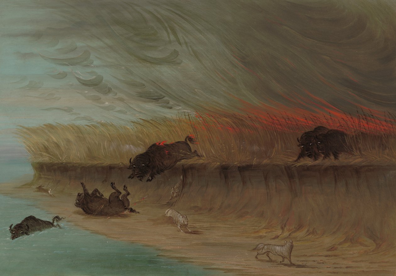 Prairie Meadows Burning, 18611869. alkotó: George Catlin