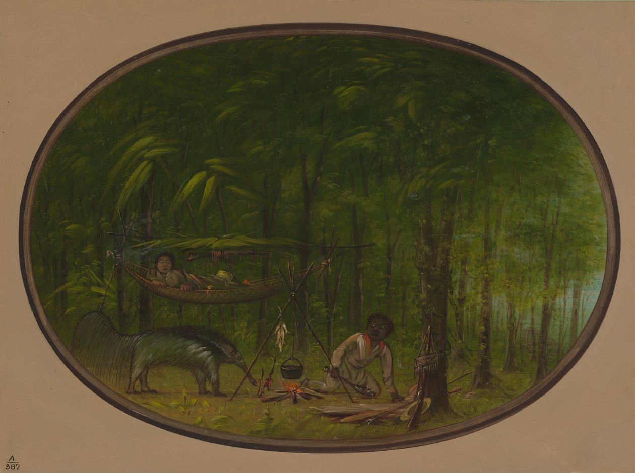 A nagy hangyafaló, 18541869. alkotó: George Catlin