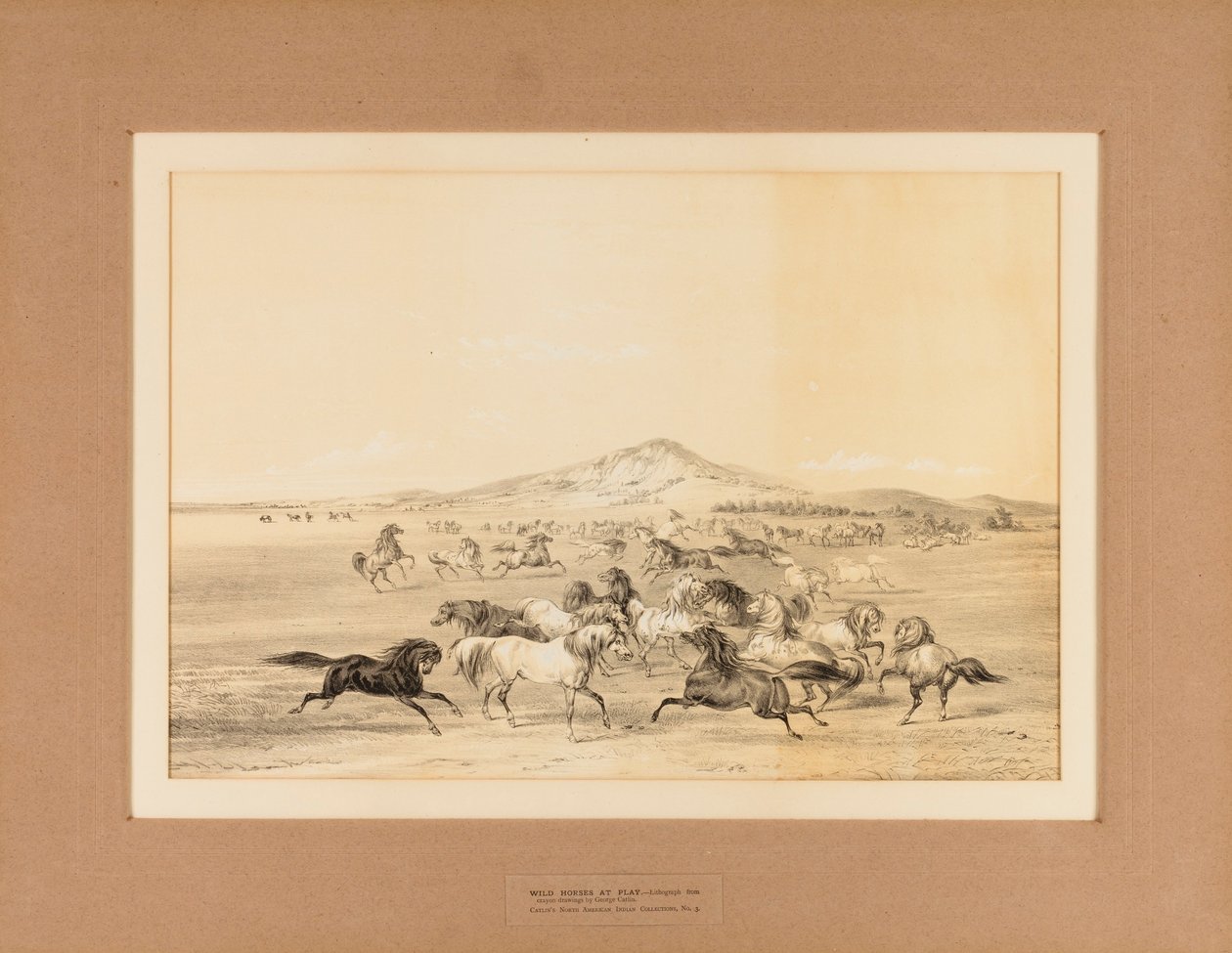 Vadlovak játszadoznak... nem. 3 alkotó: George Catlin