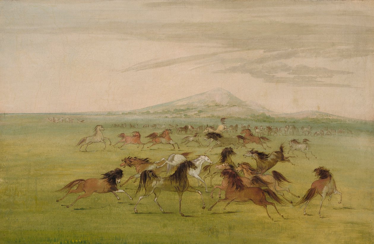 Vadlovak játék közben alkotó: George Catlin