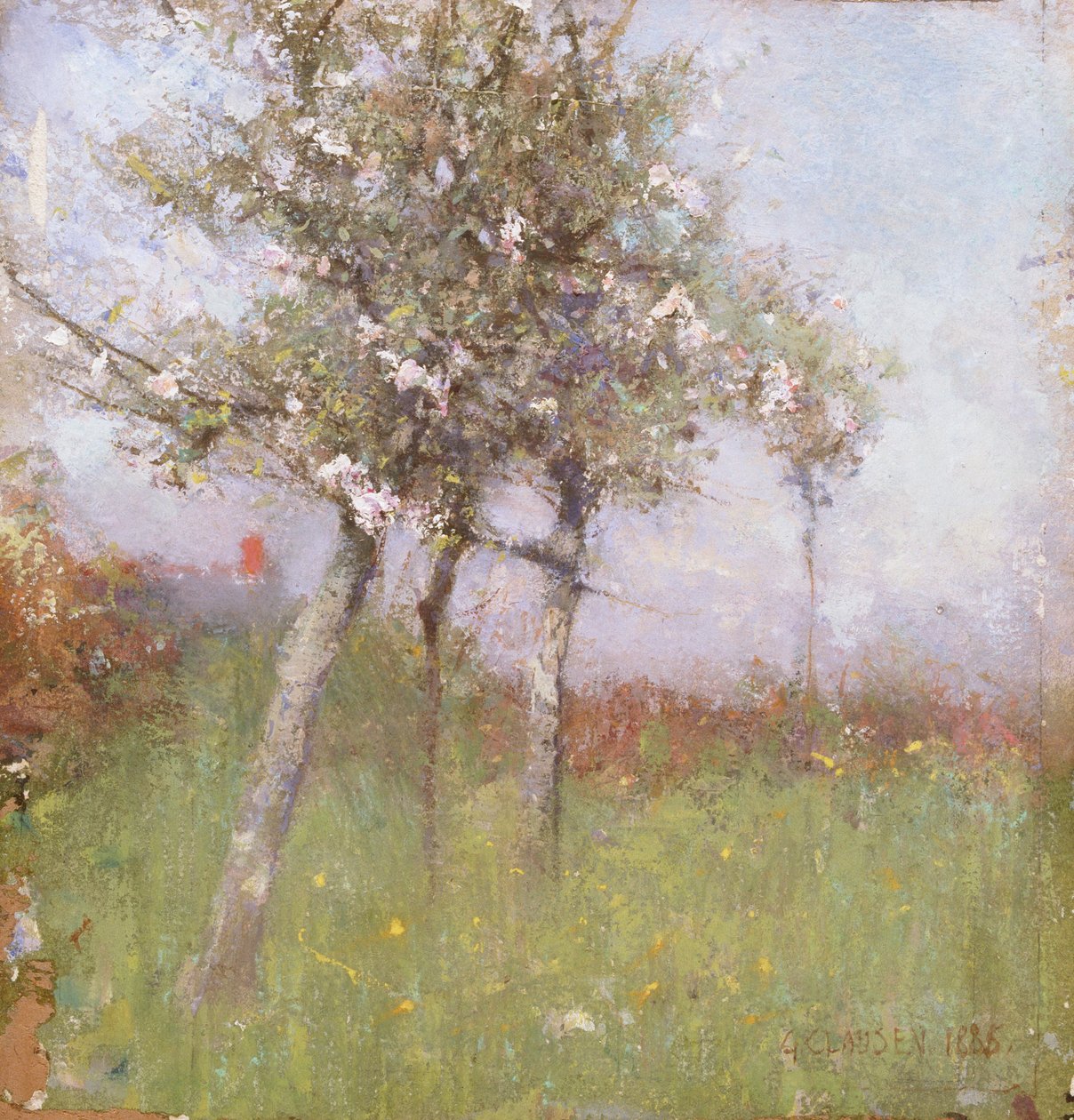 Almavirág, 1885. alkotó: George Clausen