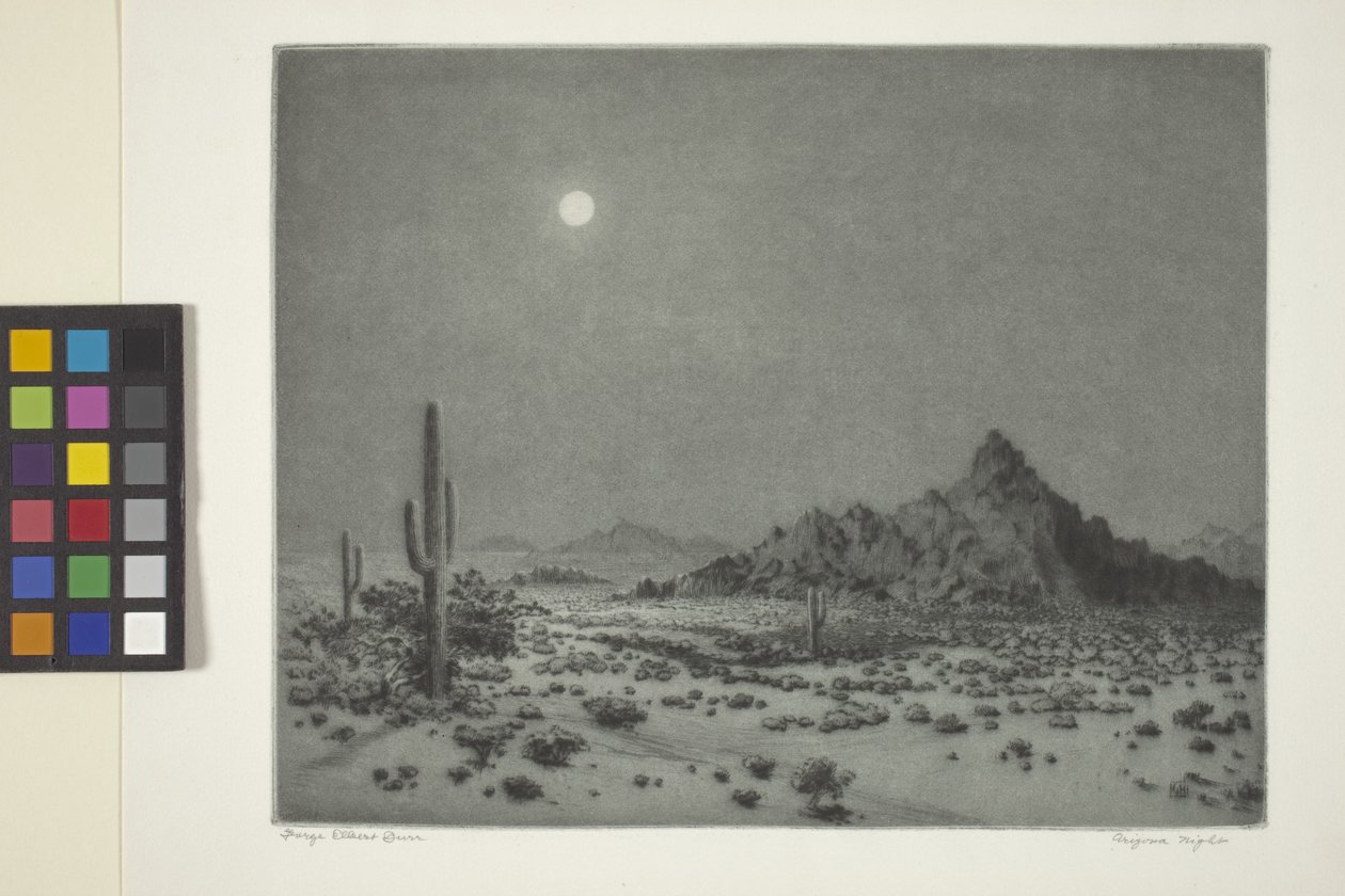 Arizonai éjszaka alkotó: George Elbert Burr