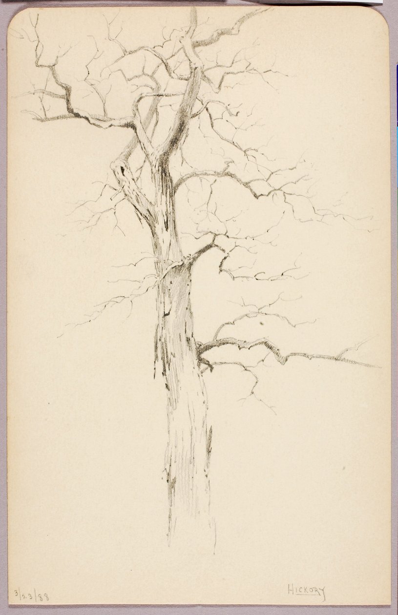 Hickory alkotó: George Elbert Burr