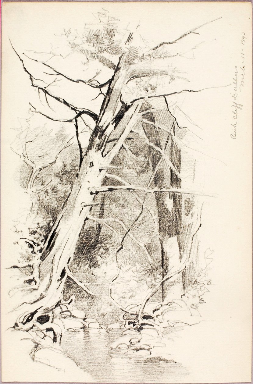 Oak Cliff, Dallas alkotó: George Elbert Burr
