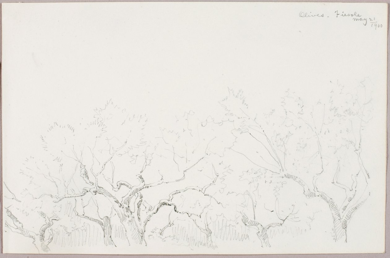 Olajbogyó-Fiesole alkotó: George Elbert Burr