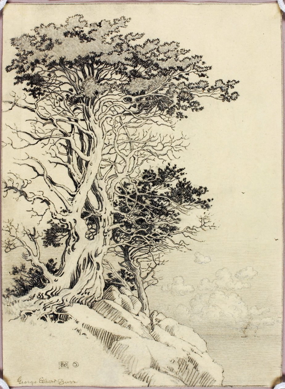 Cím nélkül (rajz nyomtatáshoz) alkotó: George Elbert Burr