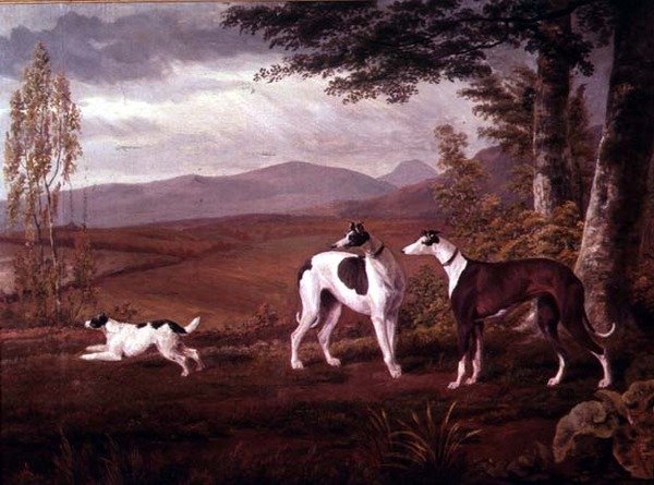 Agár a tájban alkotó: George Garrard