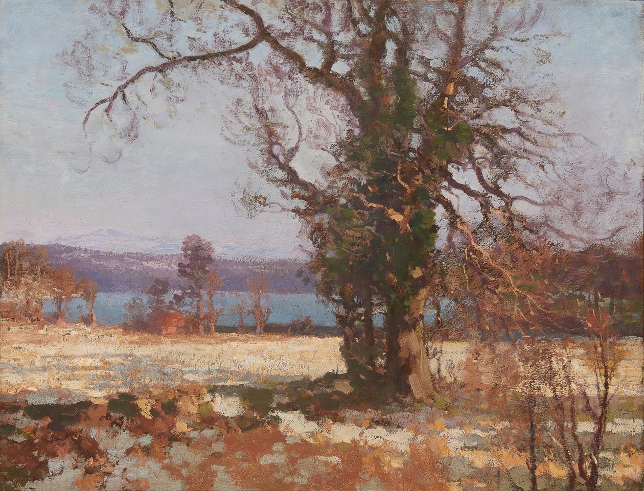 Téli napfény (olaj, vászon) alkotó: George Houston
