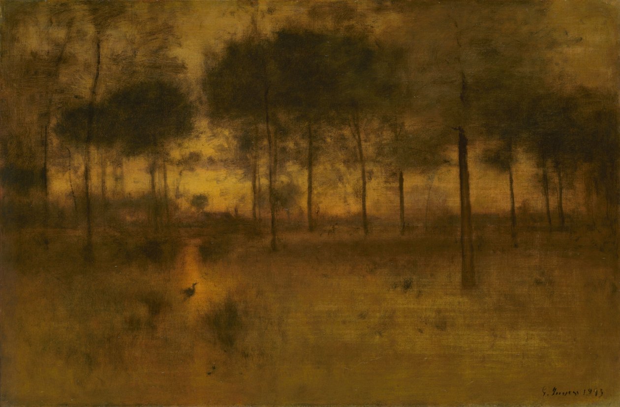 A kócsag otthona alkotó: George Inness