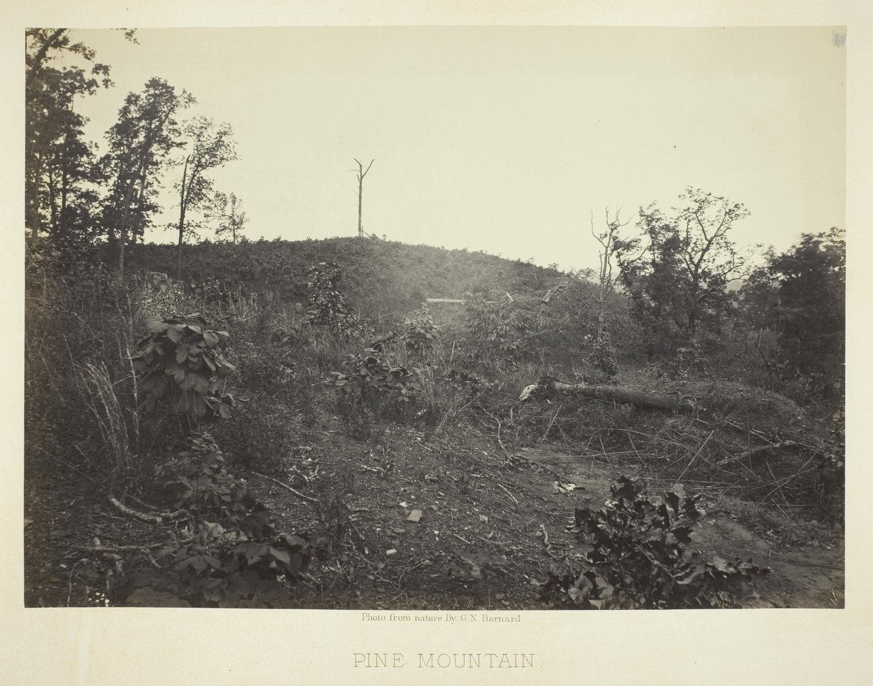 Pine Mountain alkotó: George N. Barnard
