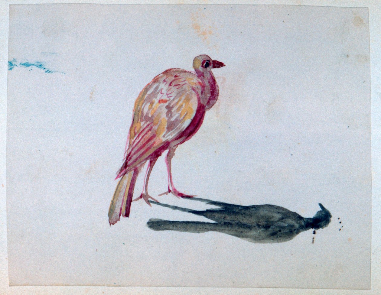 Madár, 1820-1876 alkotó: George Sand