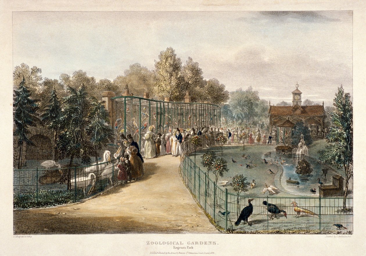 Zoological Gardens, Regent