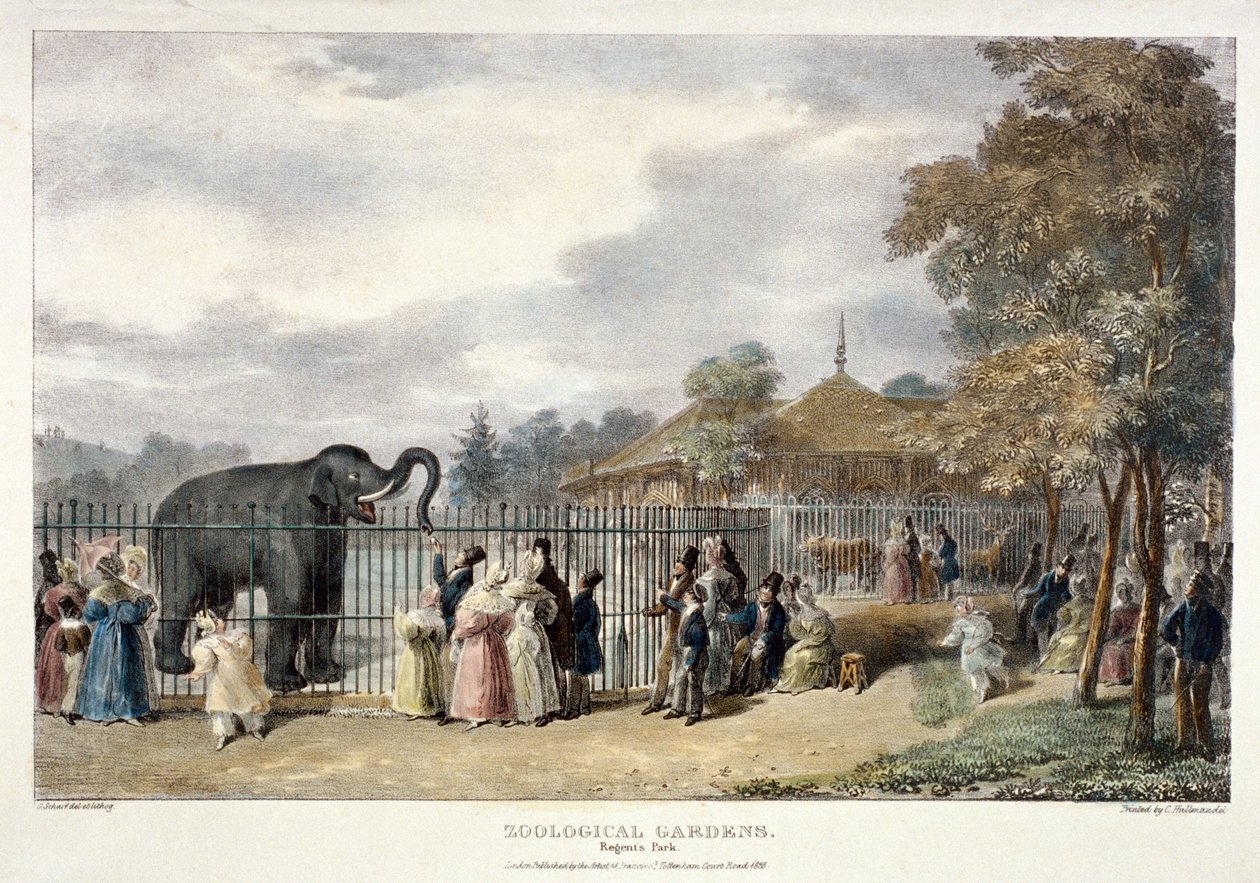 Zoological Gardens, Regent