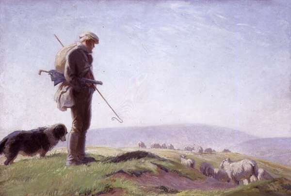 South Down Shepherd alkotó: George Soper