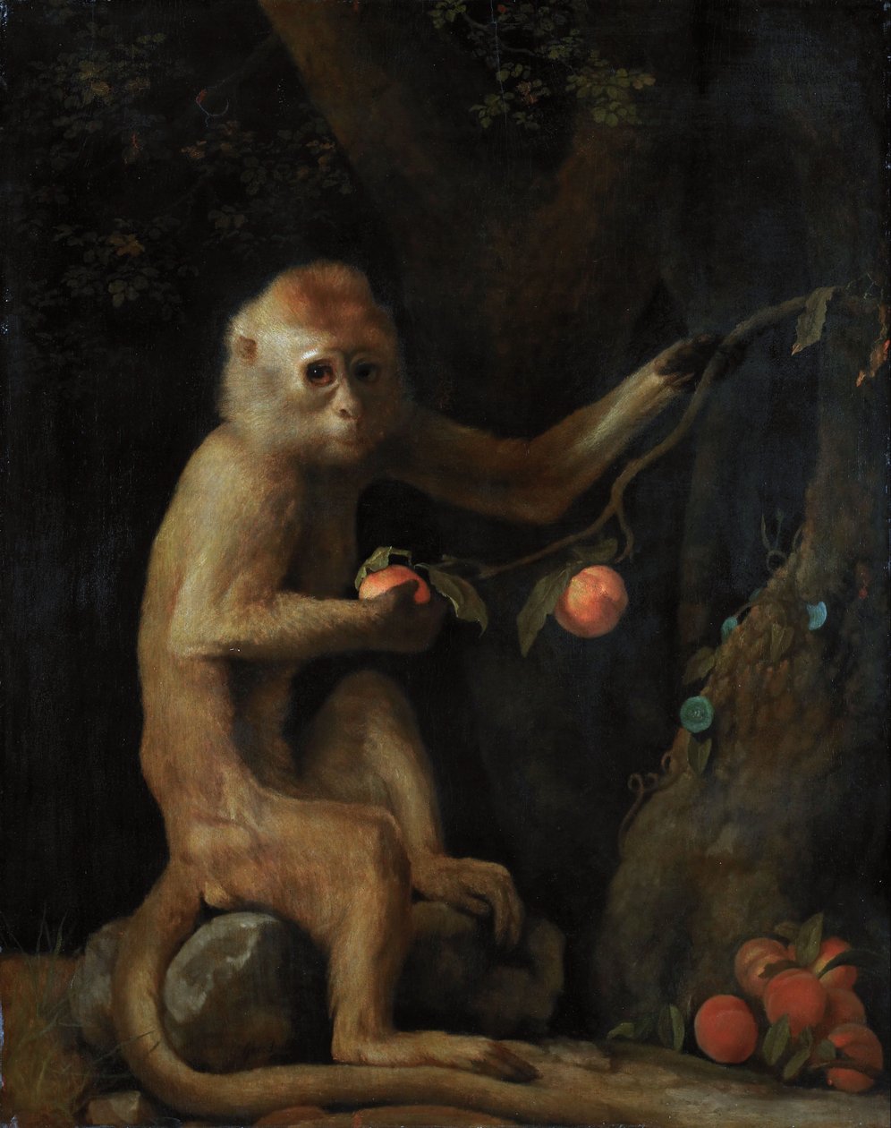 Egy majom alkotó: George Stubbs