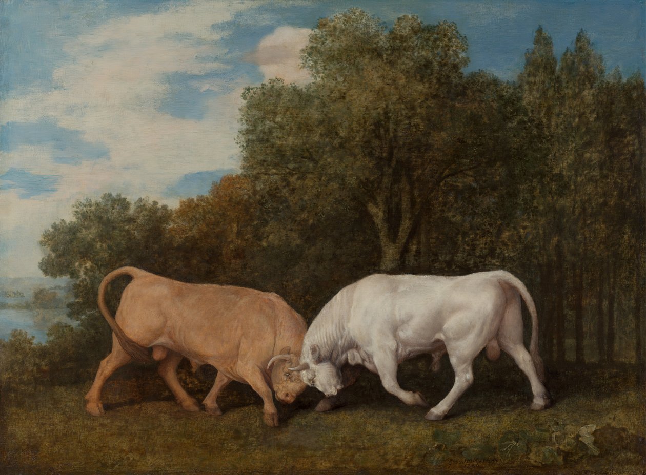 Bikaviadal, 1786. alkotó: George Stubbs