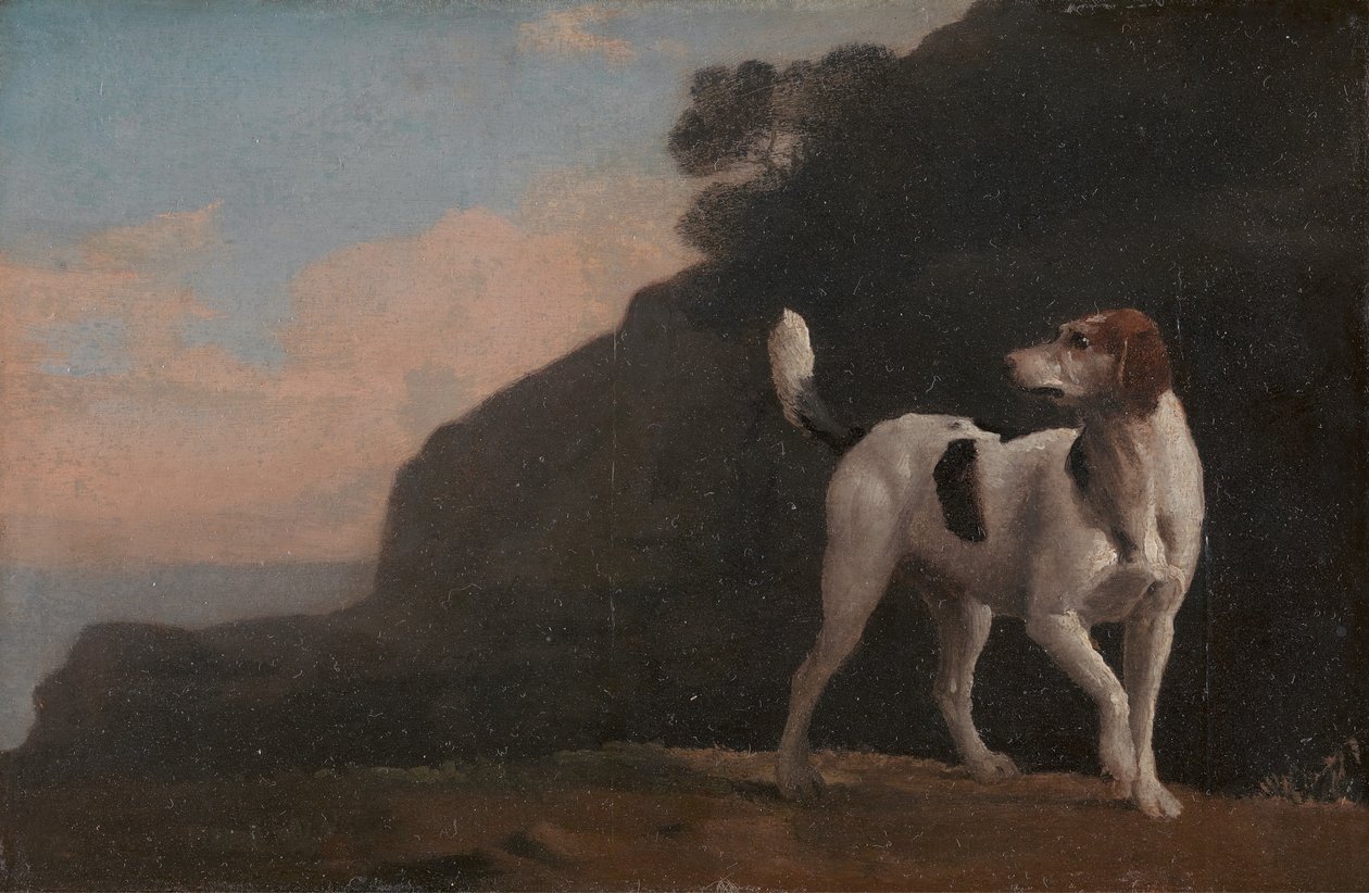 Rókakutya, Rókakutya, kb. 1760. alkotó: George Stubbs