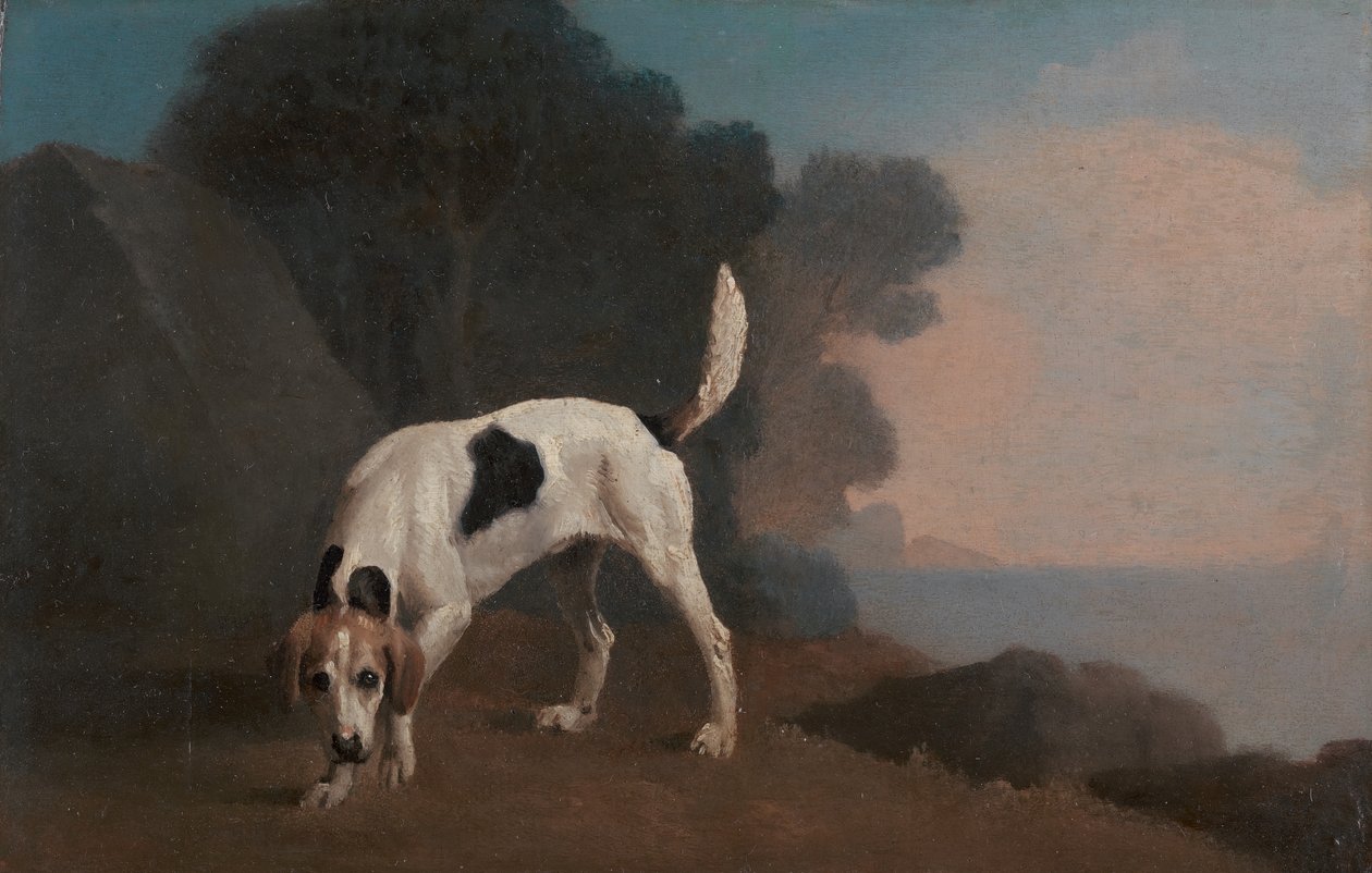 Rókakutya, Rókakutya az illaton, kb. 1760. alkotó: George Stubbs