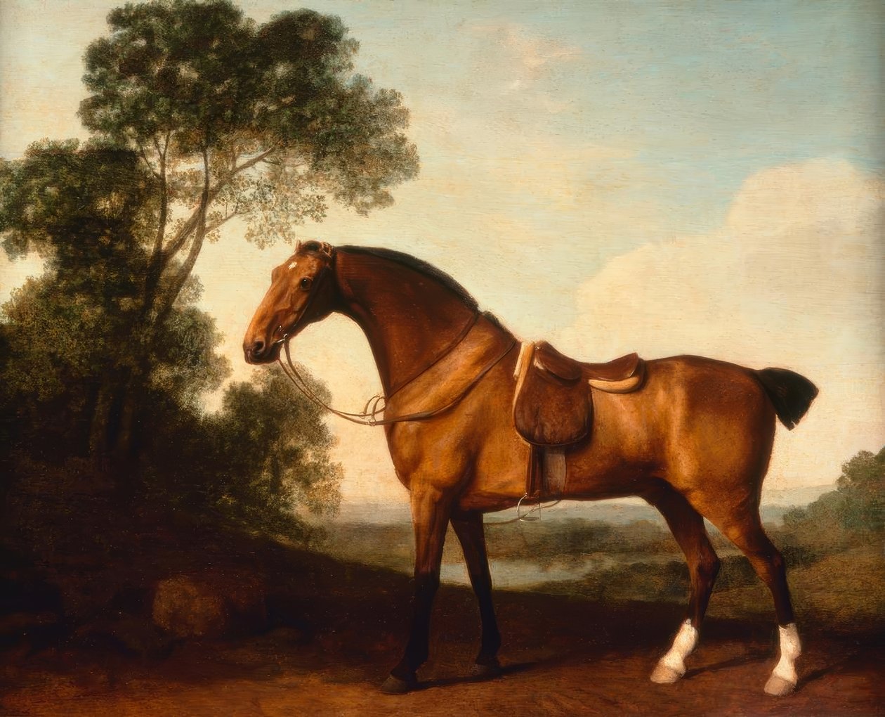 G. Stubbs, Egy nyerges öbölvadász alkotó: George Stubbs