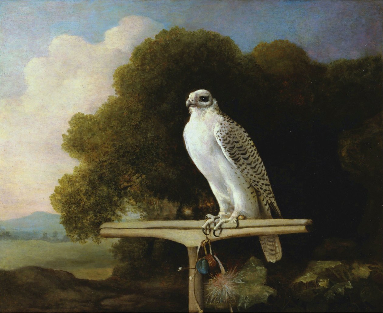 Grönlandi sólyom alkotó: George Stubbs