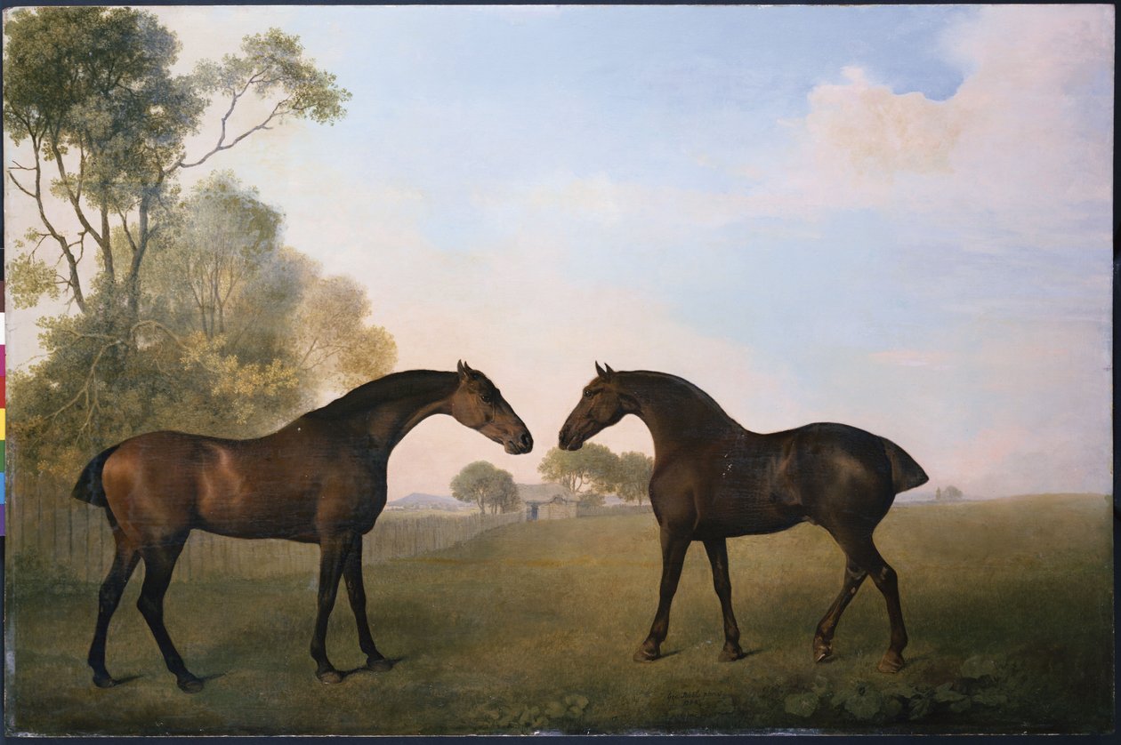 Két Hunter kint Grassben alkotó: George Stubbs