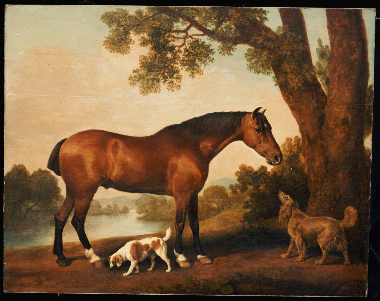 Ismeretlen kép alkotó: George Stubbs