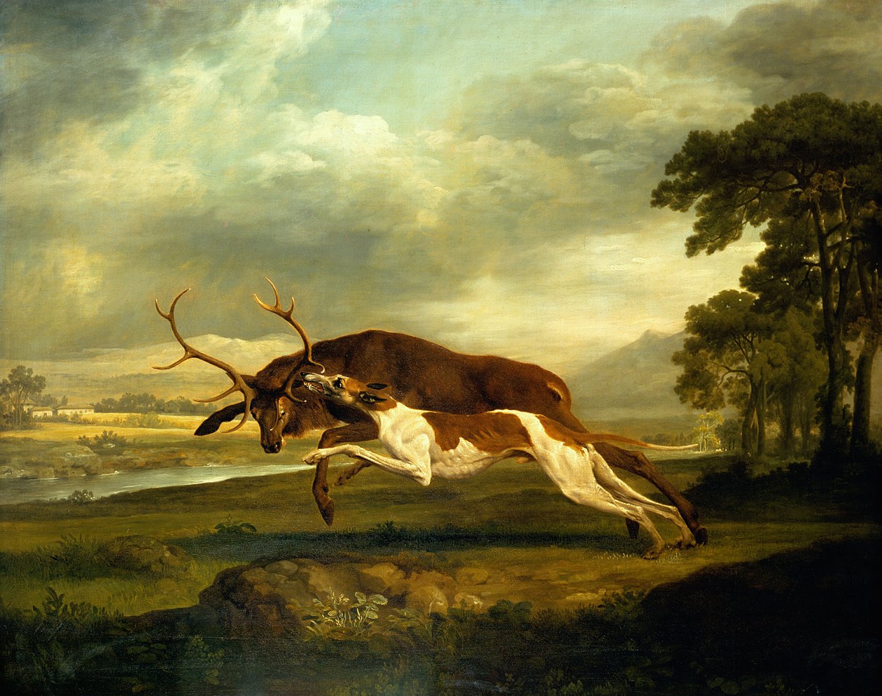 Ismeretlen kép alkotó: George Stubbs