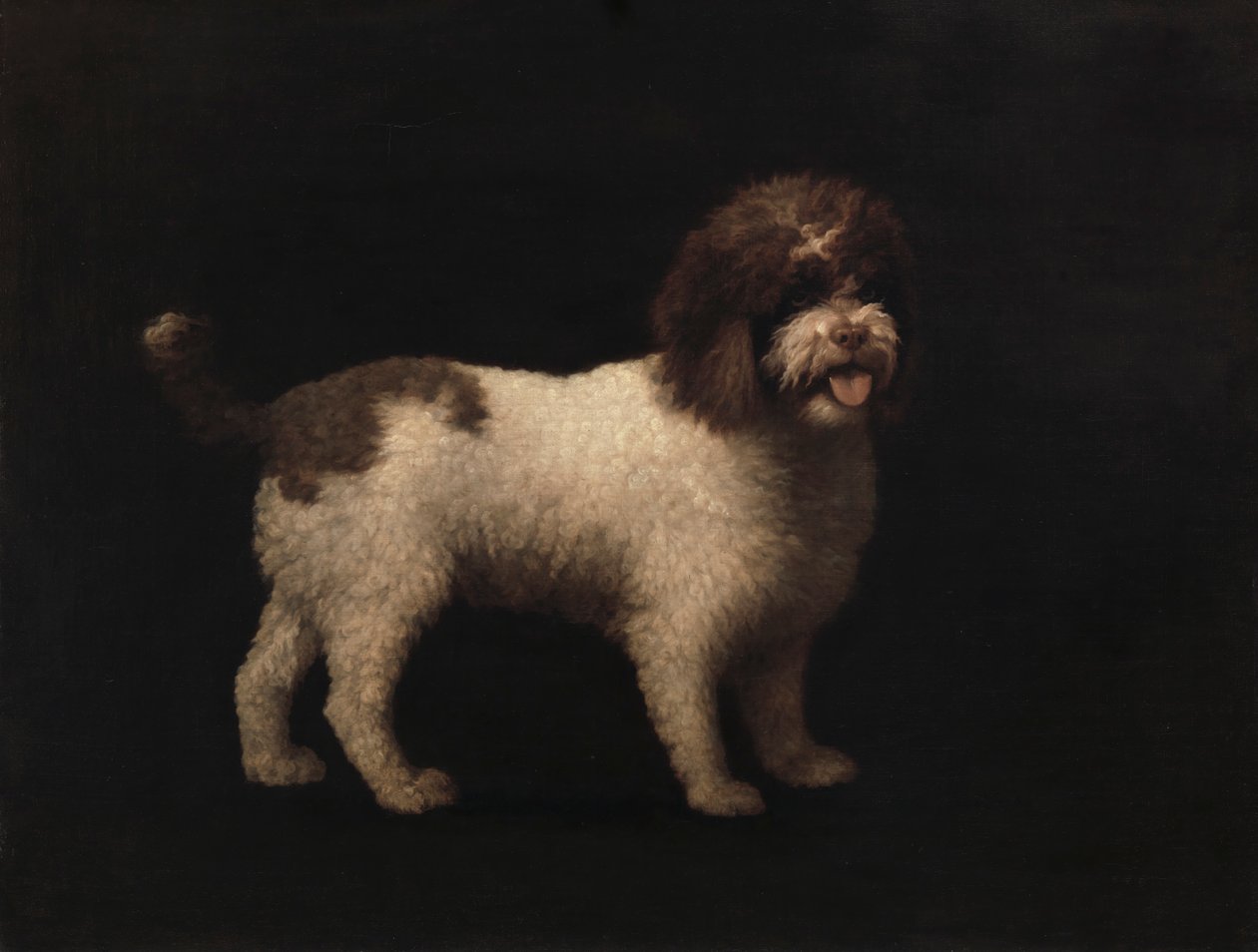 Vízi spániel alkotó: George Stubbs