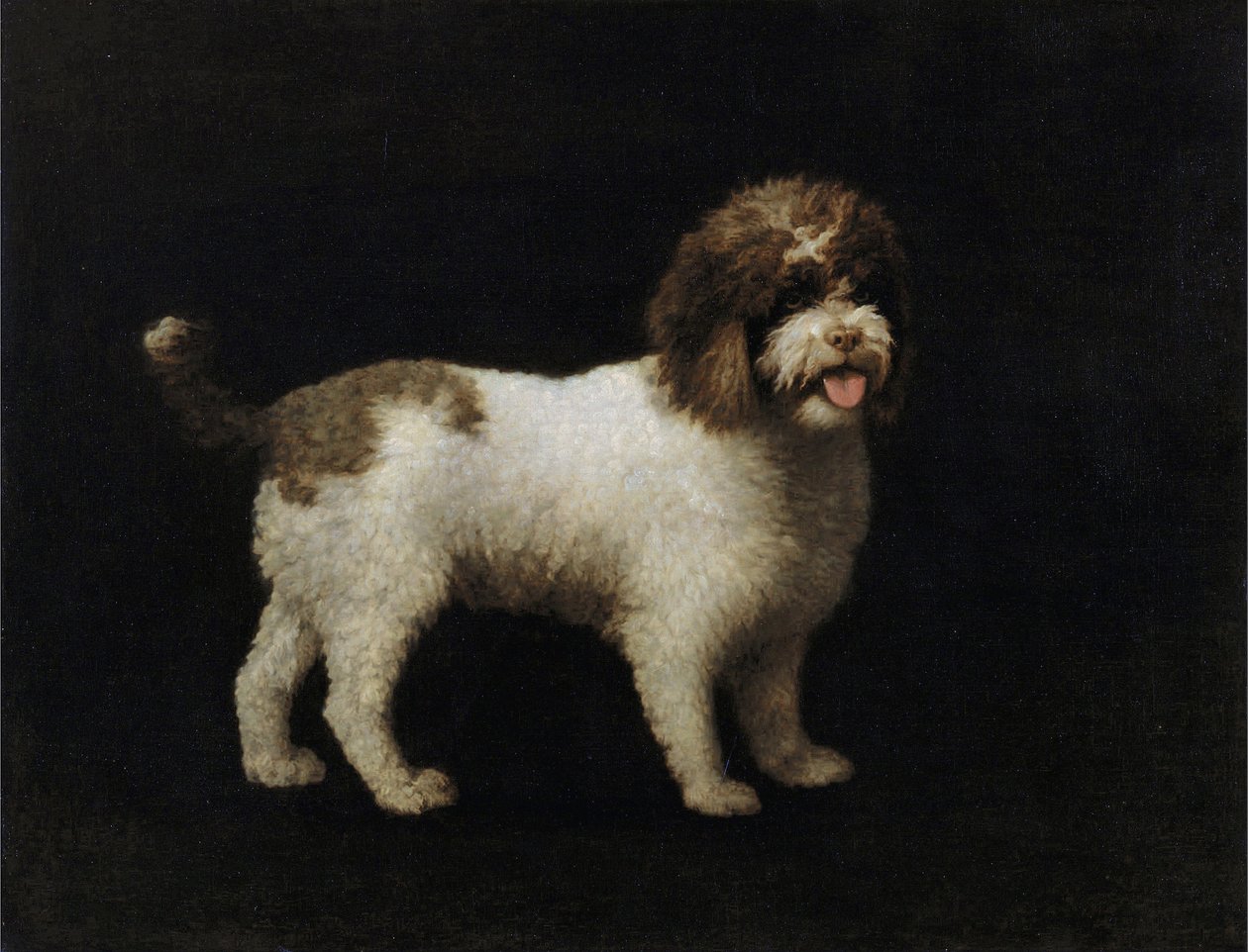 Vízi spániel alkotó: George Stubbs