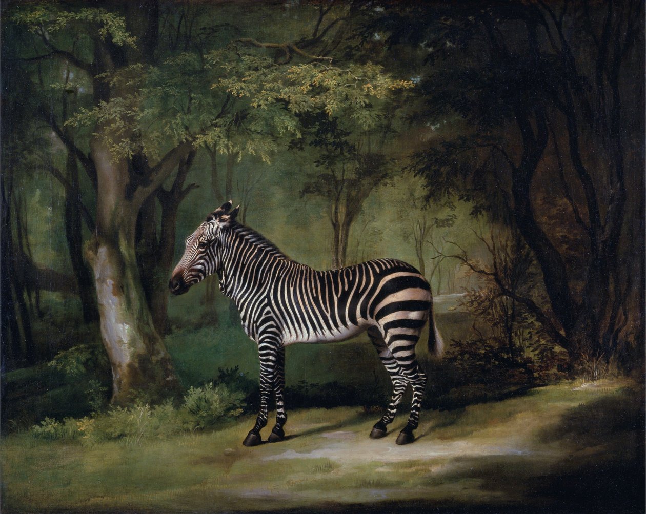 Zebra alkotó: George Stubbs