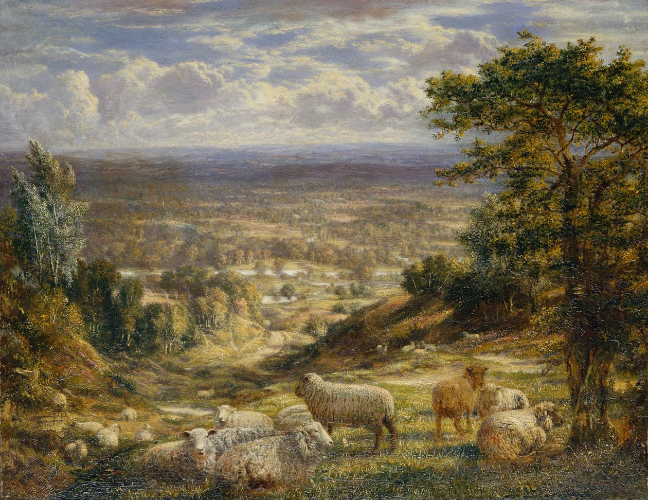 Nyári táj juhokkal alkotó: George William Mote