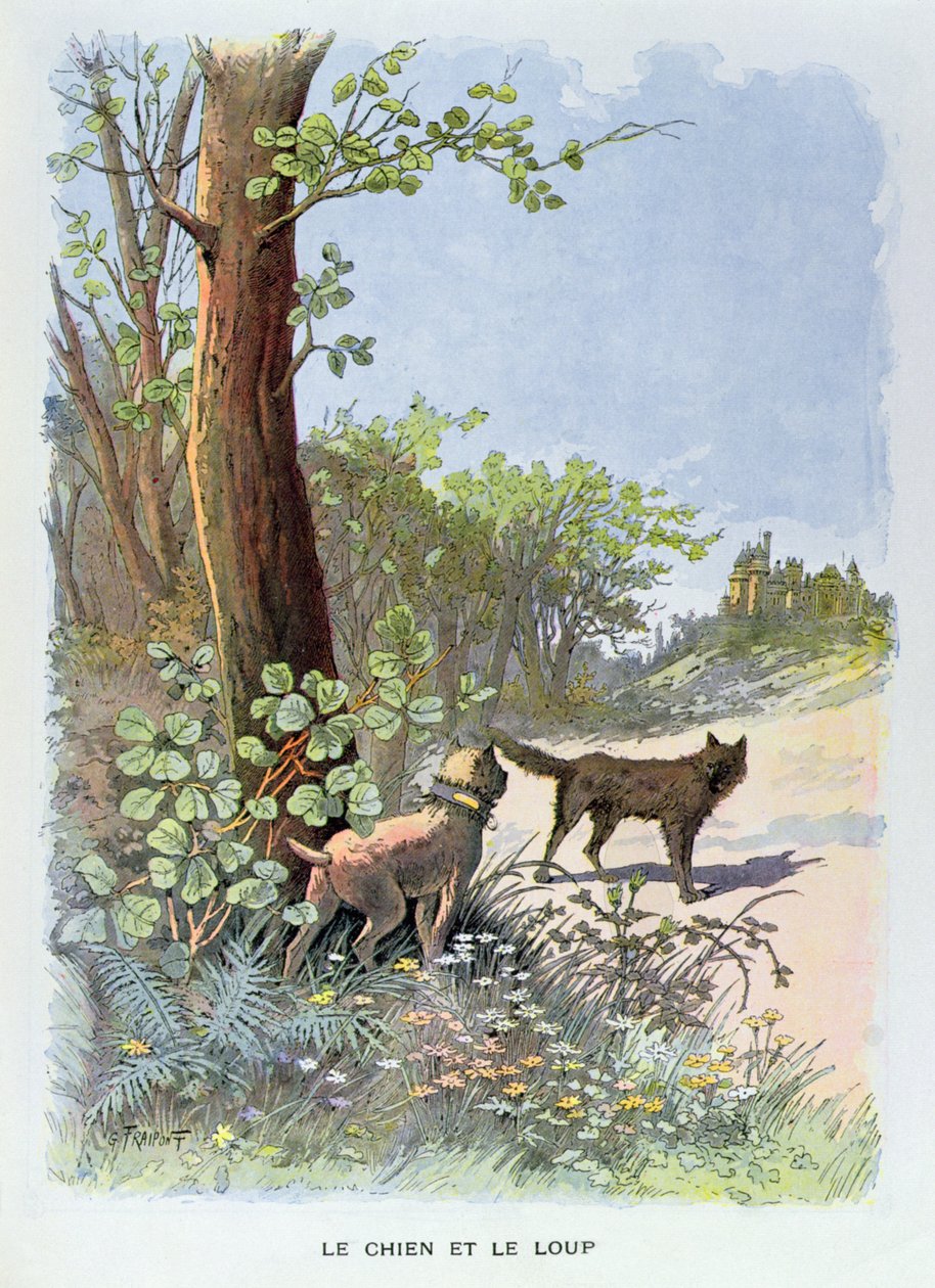 A kutya és a farkas, Jean de La Fontaine (1621-95) „Fables Choisies de la Fontaine” című művéből, a Librairies-Imprimies Reunies kiadó (színes metszet) alkotó: Georges Fraipont