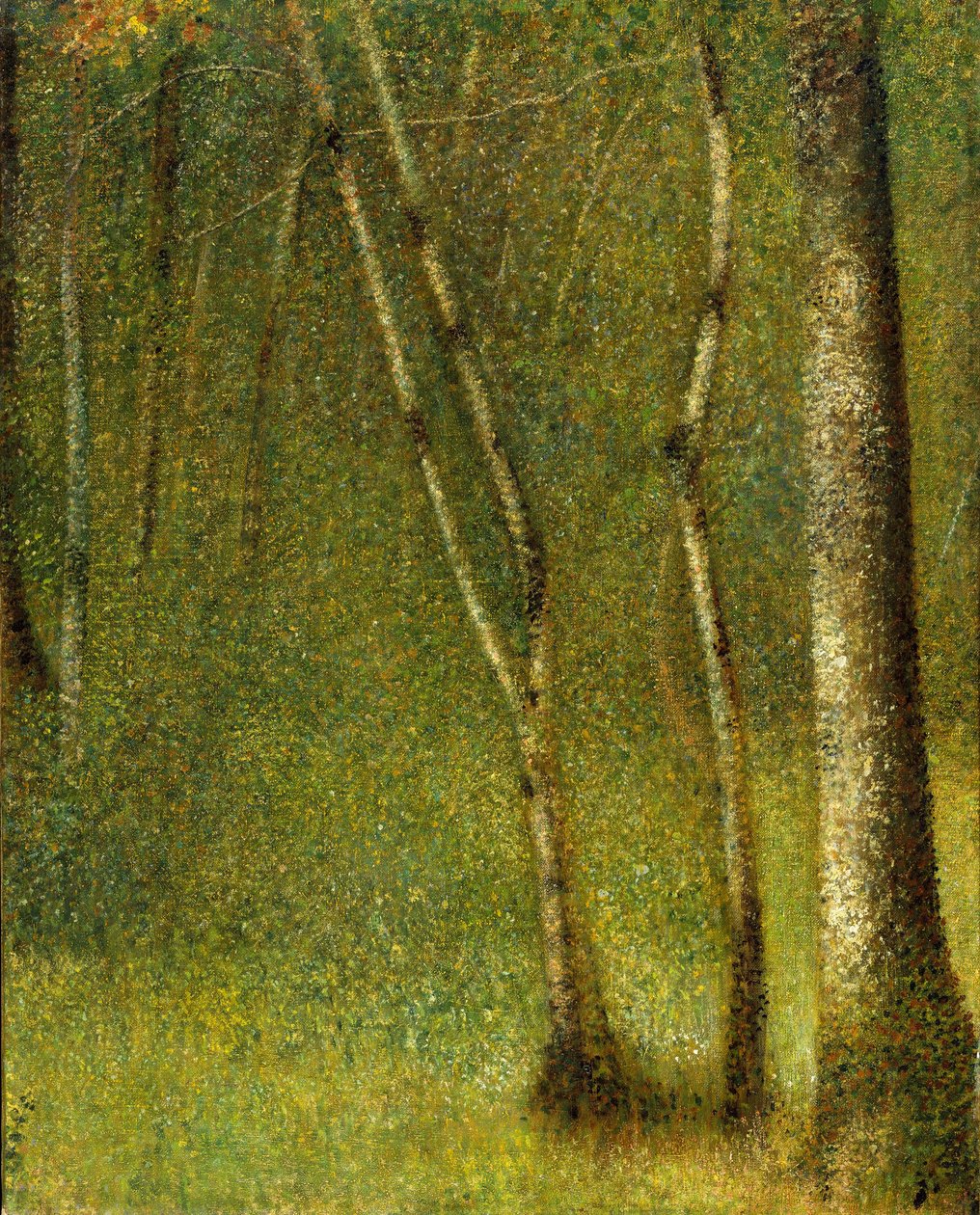 A pontaubert-i erdő, 1881 alkotó: Georges Seurat