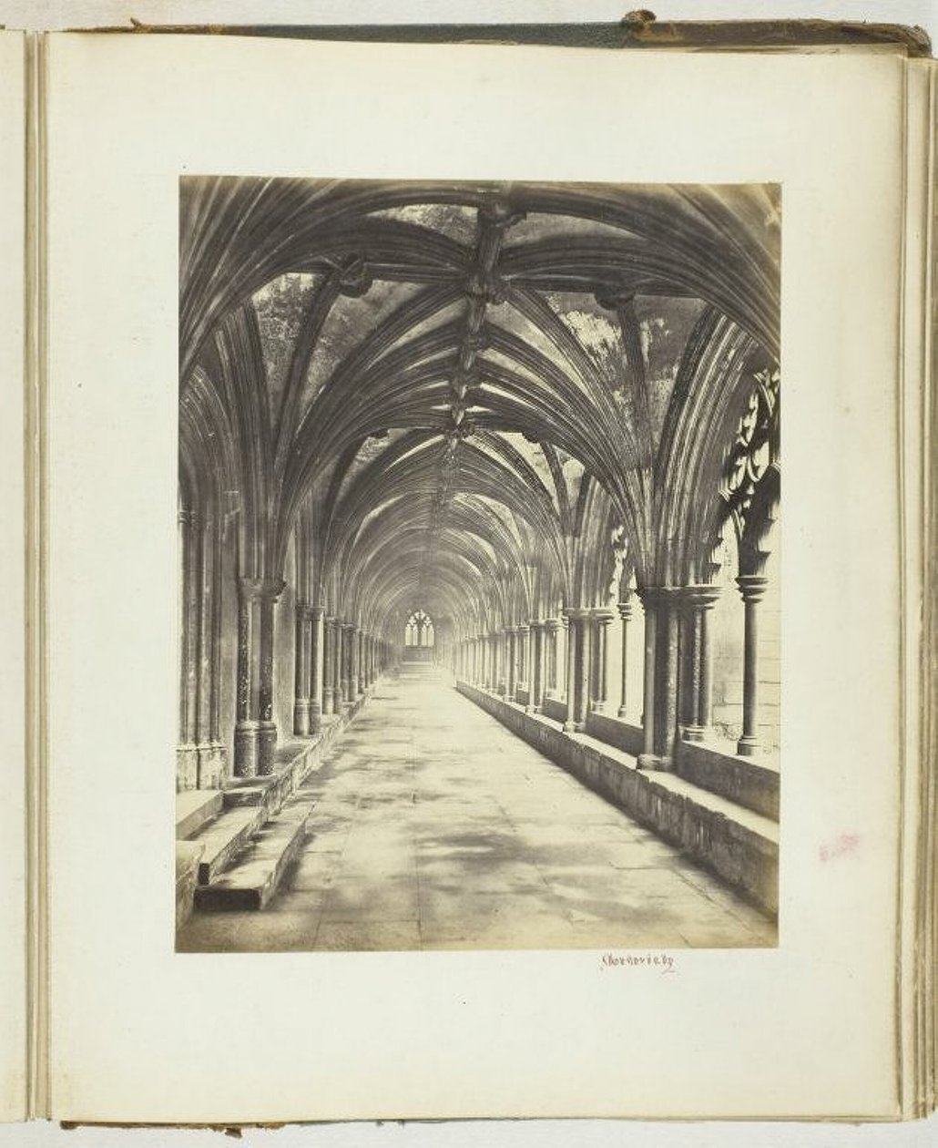 Untitled [kolostorok], 1868. alkotó: Georgina Cowper