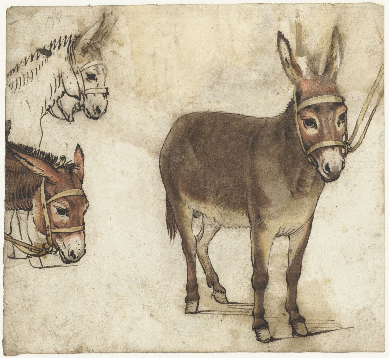 Tanulmányi lap szamarakkal alkotó: Gerard ter Borch (I)