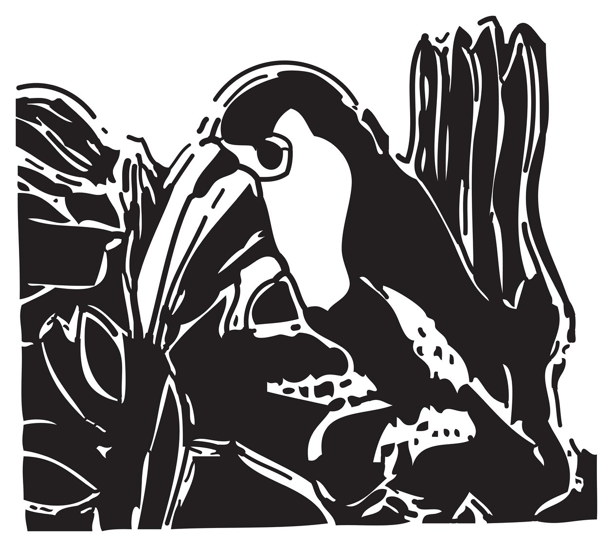 Toucan alkotó: Gerhardt Isringhaus