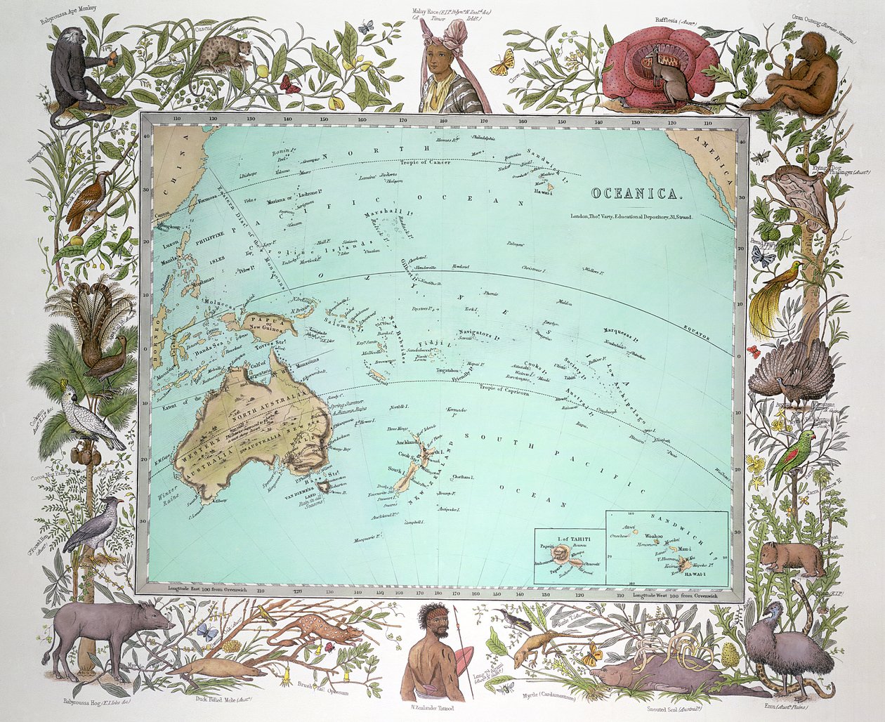 Oceanica, Vogel fizikai atlaszából, 1850 körül alkotó: German School