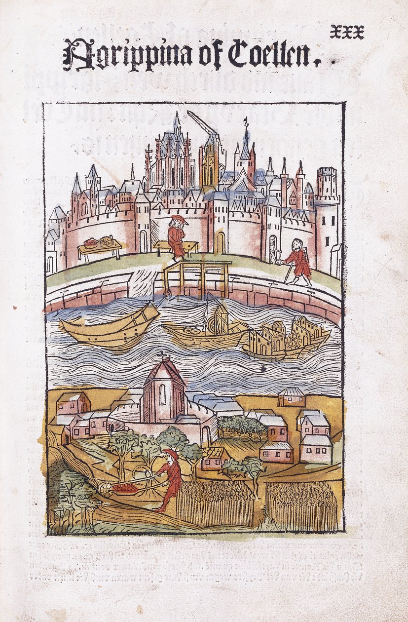 Coelleni Agrippina alkotó: German School